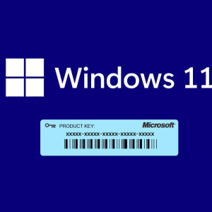 Lisensi Windows 11 Professional